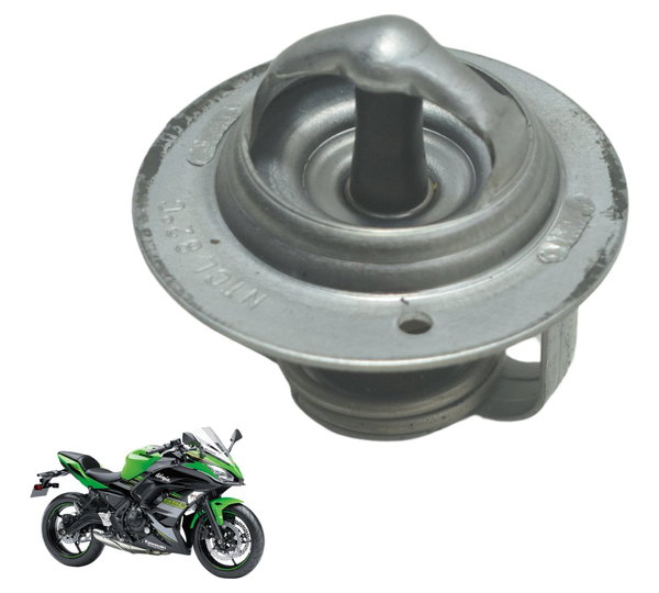 Válvula Termostática Kawasaki Ninja 650 R 17-22 Original