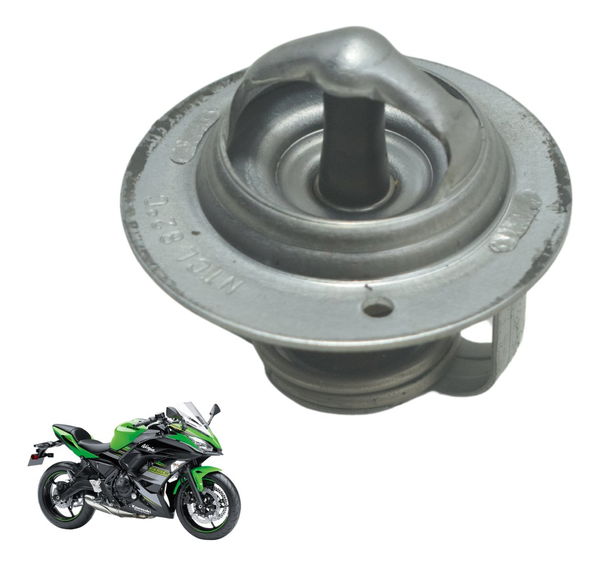 Válvula Termostática Kawasaki Ninja 650 R 17-22 Original