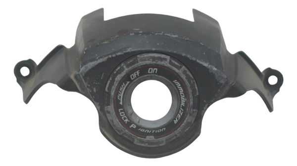 Acabamento Chave Ignição C/ Detal Kawasaki Z 1000 10-14 Orig