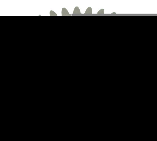 Engrenagem Embreagem Honda Cb 500 X 21-23 Original