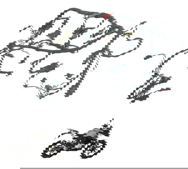 Chicote Principal Bmw G 310 Gs 17-20 Original