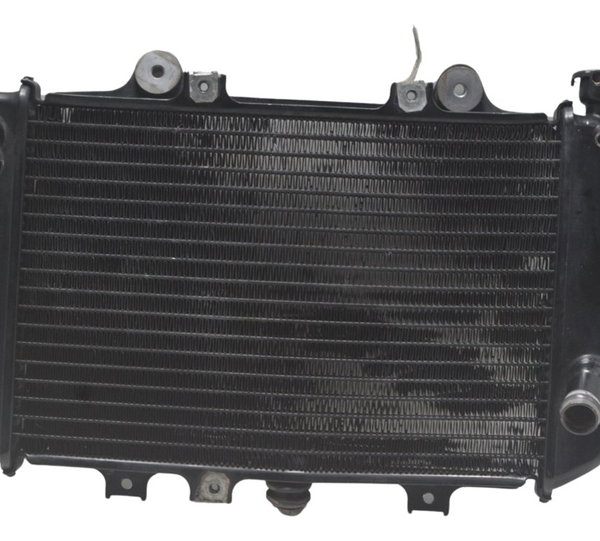 Radiador C/ Avaria Bmw G 310 Gs 17-20 Original