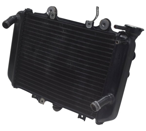 Radiador C/ Avaria Bmw G 310 Gs 17-20 Original
