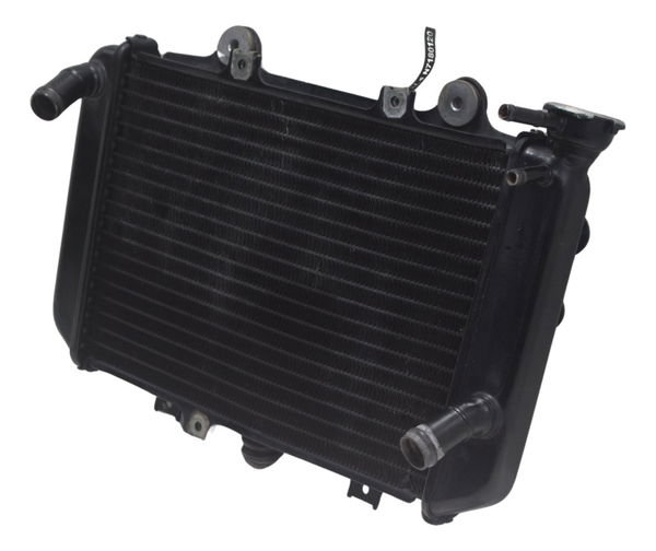 Radiador C/ Avaria Bmw G 310 Gs 17-20 Original