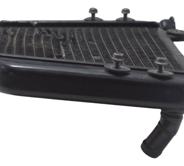 Radiador C/ Avaria Bmw G 310 Gs 17-20 Original