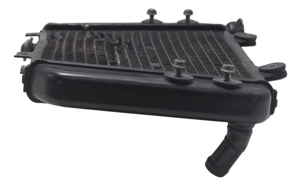Radiador C/ Avaria Bmw G 310 Gs 17-20 Original