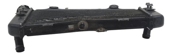 Radiador C/ Avaria Bmw G 310 Gs 17-20 Original
