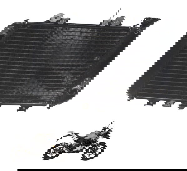 Radiador C/ Avaria Bmw G 310 Gs 17-20 Original