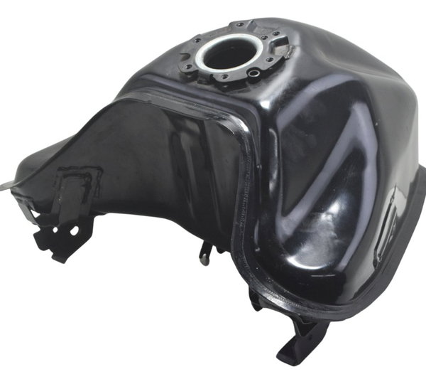 Tanque Bmw G 310 Gs 17-20 Original