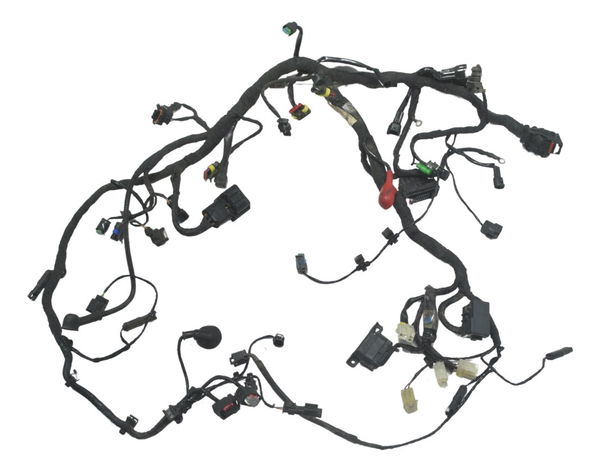 Chicote Principal Bmw G 310 Gs 17-20 Original
