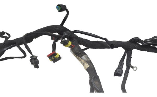 Chicote Principal Bmw G 310 Gs 17-20 Original