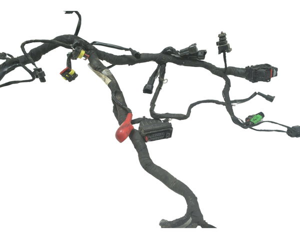Chicote Principal Bmw G 310 Gs 17-20 Original