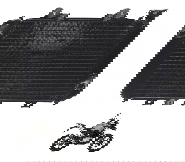Radiador Bmw G 310 Gs 17-20 Original