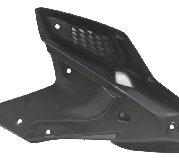 Acabamento Aba Direita C/ Detalhes Bmw G 310 Gs 17-20 Orig