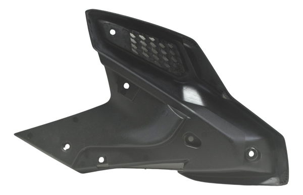 Acabamento Aba Direita C/ Detalhes Bmw G 310 Gs 17-20 Orig