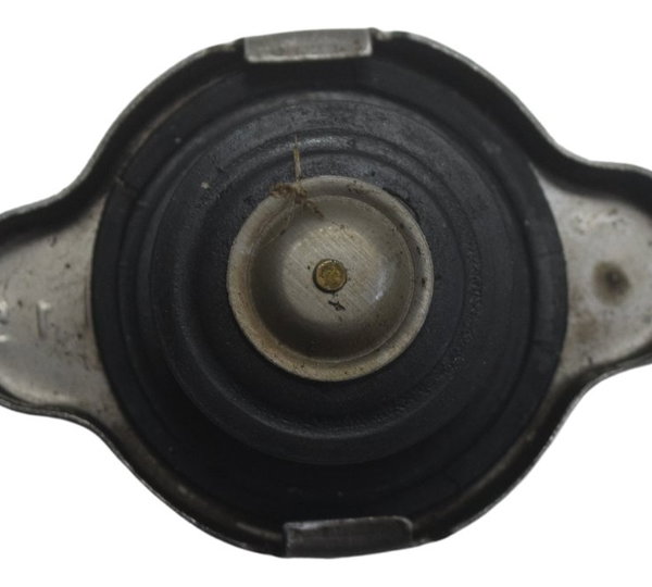 Tampa Radiador Bmw G 310 Gs 17-20 Original