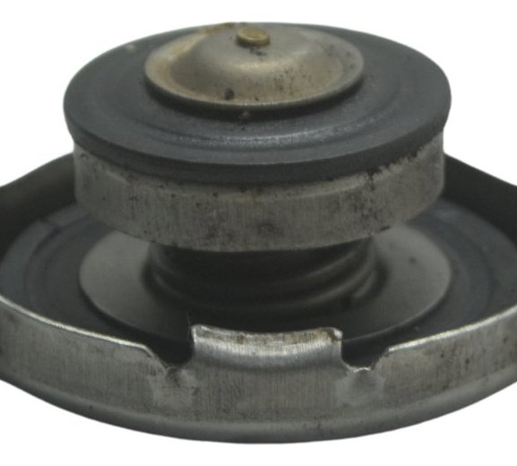 Tampa Radiador Bmw G 310 Gs 17-20 Original