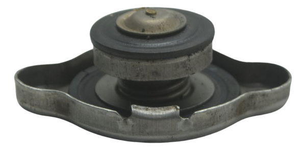 Tampa Radiador Bmw G 310 Gs 17-20 Original