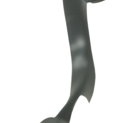 Ventoinha Radiador Bmw G 310 Gs 17-20 Original