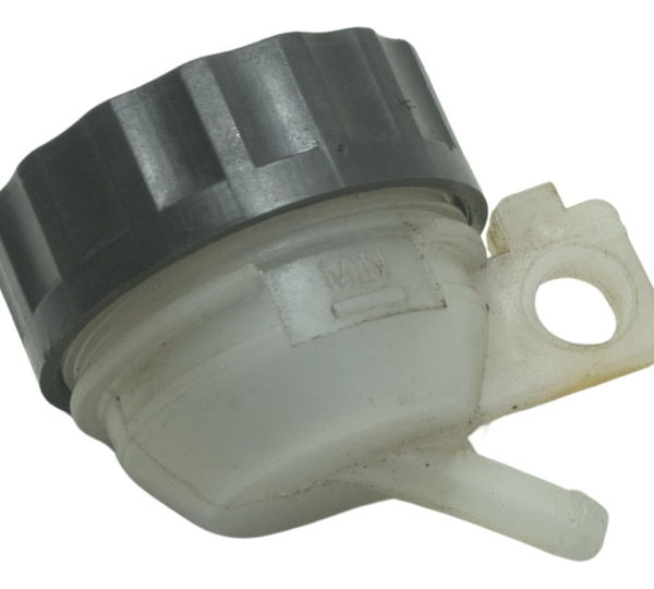 Reservatório Freio Traseiro Bmw G 310 Gs 17-20 Original