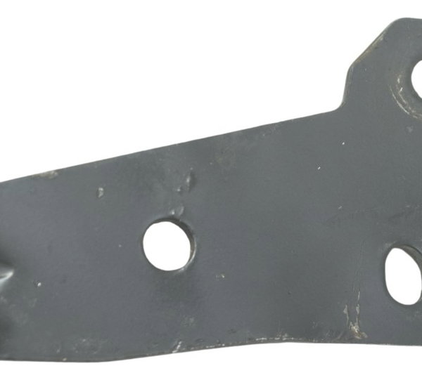 Suporte Bmw G 310 Gs 17-20 Original