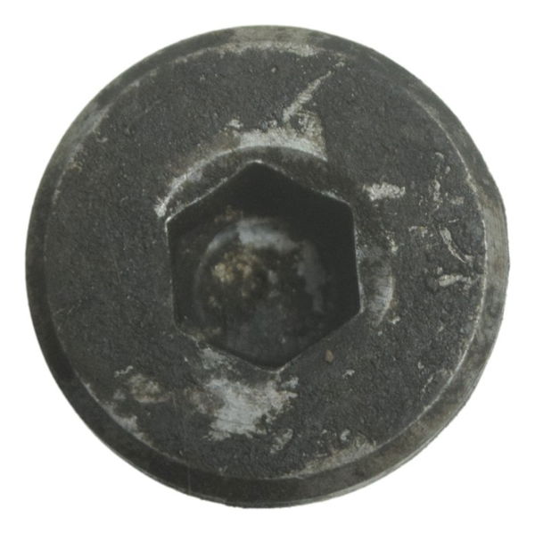 Parafuso Pedal Descanso Lateral Bmw G 310 Gs 17-20 Original