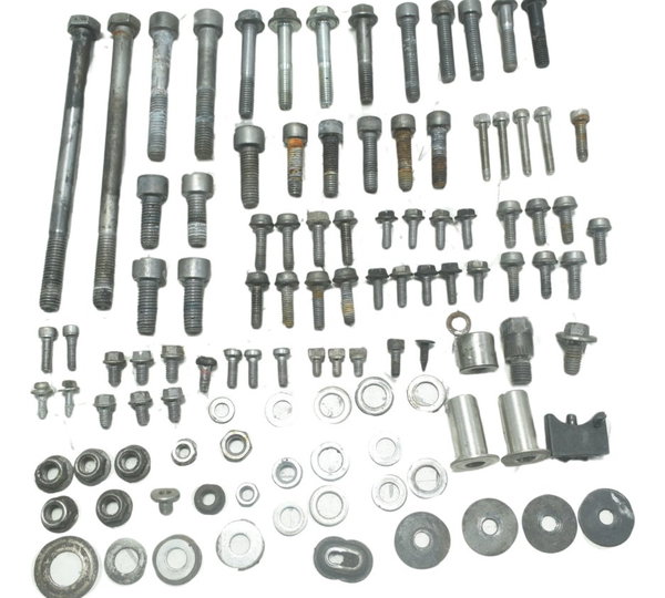 Kit Parafusos Diversos Bmw G 310 Gs 17-20 Original