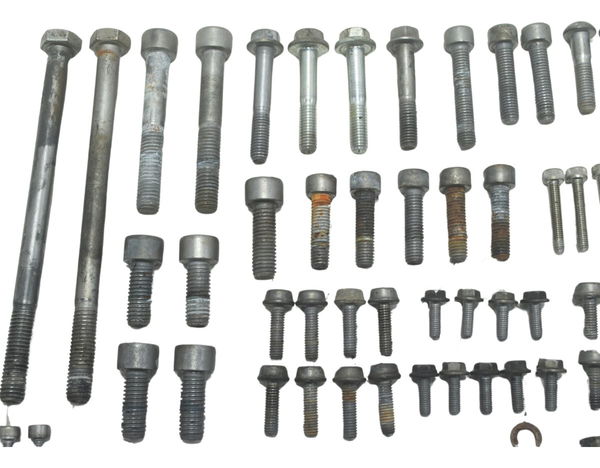 Kit Parafusos Diversos Bmw G 310 Gs 17-20 Original