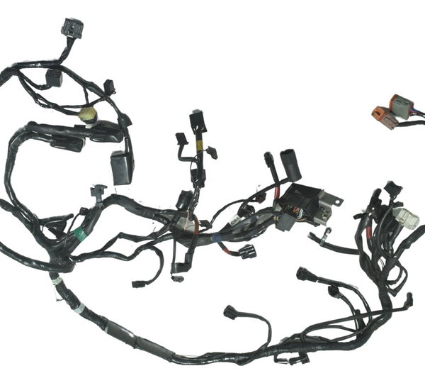 Chicote Principal Triumph Bonneville T100 13-15 Original