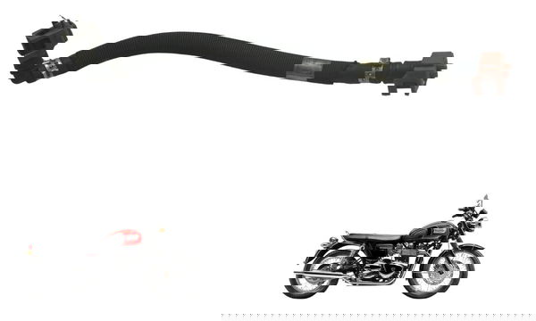 Mangueira Injeção Triumph Bonneville T100 13-15 Original