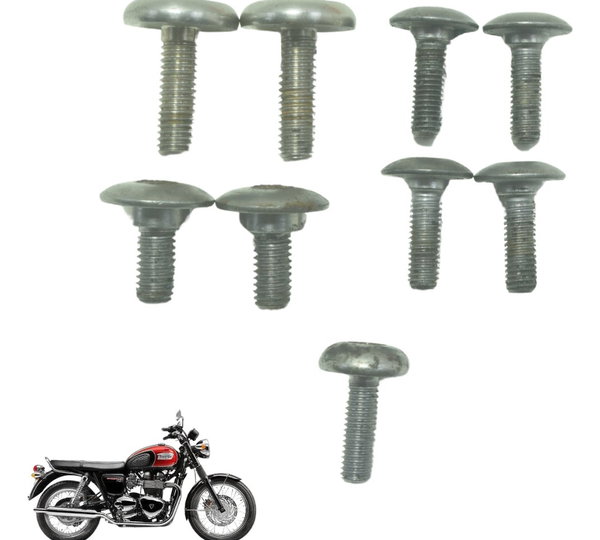 Kit Parafusos Carenagem Triumph Bonneville T100 13-15 Orig