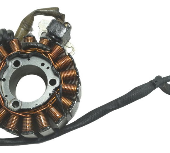 Estator Bmw G 310 Gs 17-20 Original