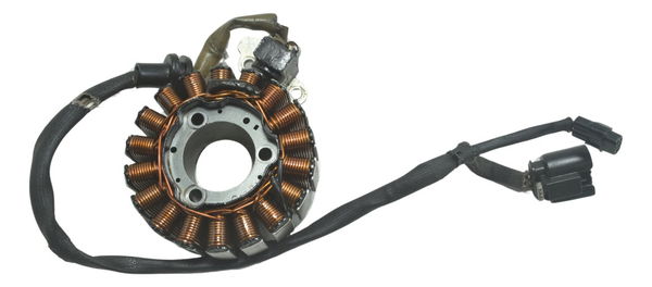 Estator Bmw G 310 Gs 17-20 Original