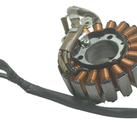 Estator Bmw G 310 Gs 17-20 Original