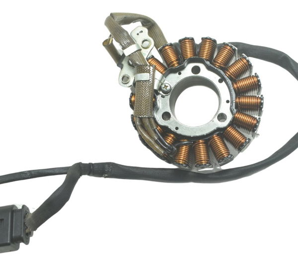 Estator Bmw G 310 Gs 17-20 Original