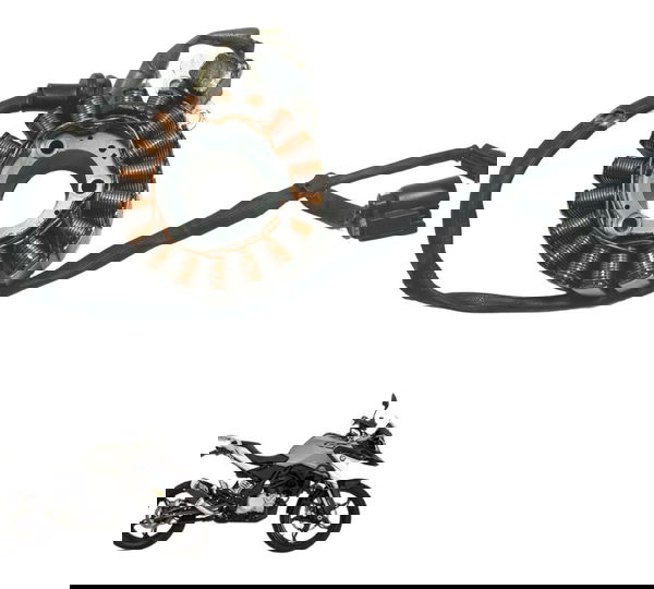 Estator Bmw G 310 Gs 17-20 Original