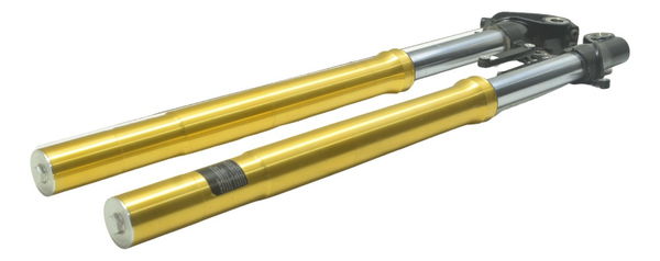 Par Bengala Completa Bmw G 310 Gs 17-20 Original