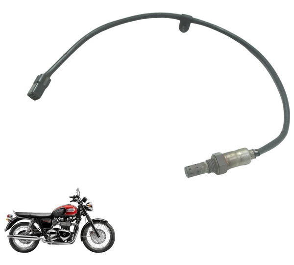 Sonda Lambda Triumph Bonneville T100 13-15 Original