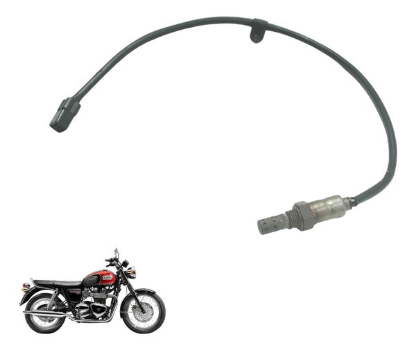 Sonda Lambda Triumph Bonneville T100 13-15 Original