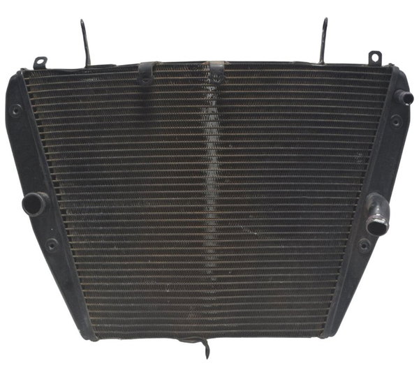 Radiador C/ Detalhes Honda Cbr 1000 Rr 08-11 Original
