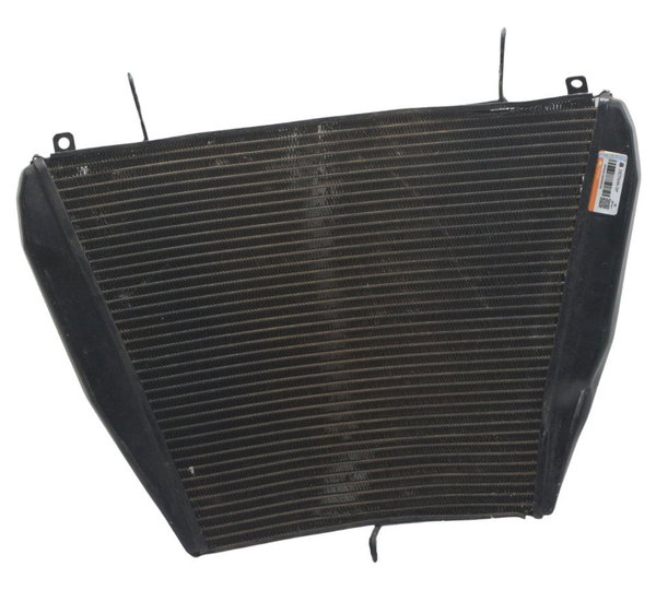 Radiador C/ Detalhes Honda Cbr 1000 Rr 08-11 Original