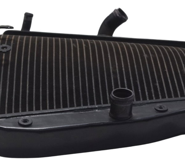 Radiador C/ Detalhes Honda Cbr 1000 Rr 08-11 Original