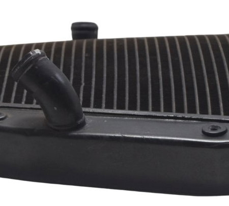 Radiador C/ Detalhes Honda Cbr 1000 Rr 08-11 Original