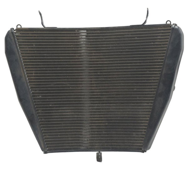 Radiador Honda Cbr 1000 Rr 08-11 Original