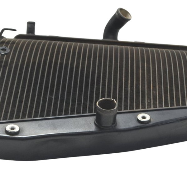 Radiador Honda Cbr 1000 Rr 08-11 Original