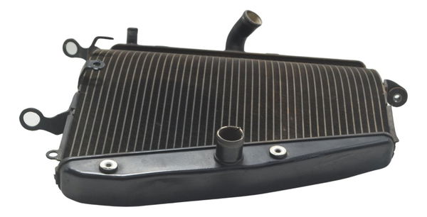 Radiador Honda Cbr 1000 Rr 08-11 Original