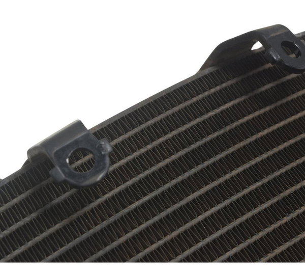 Radiador Honda Cbr 1000 Rr 08-11 Original