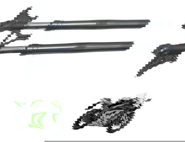 Par Bengala Completa Kawasaki Ninja Zx 10r 10-15 Original