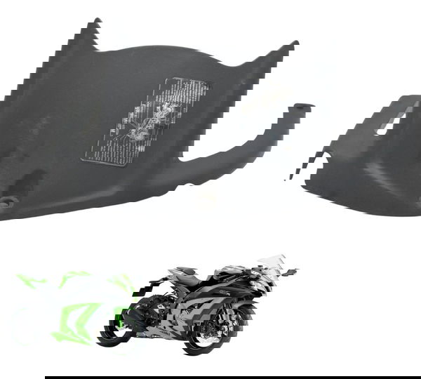 Paralama Traseiro Kawasaki Ninja Zx 10r 10-15 Original Traseiro