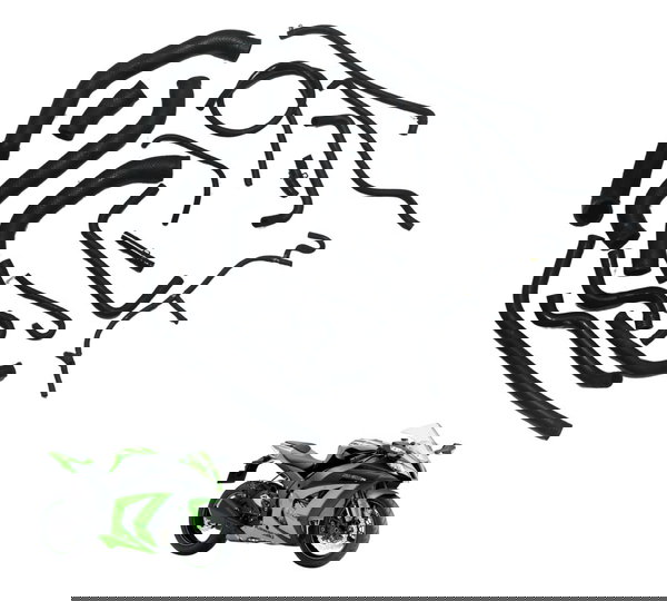 Kit Mangueiras Kawasaki Ninja Zx 10r 10-15 Original